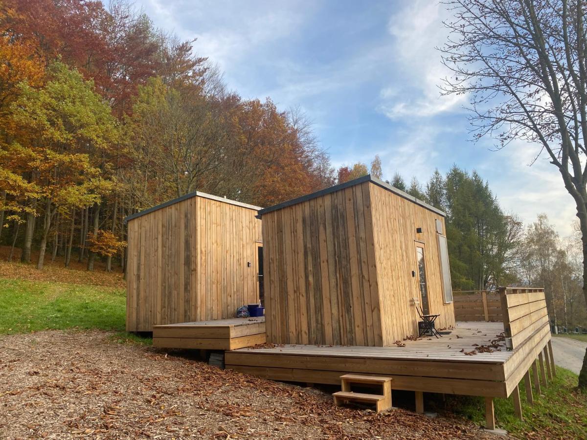 Vila Zinipi Retreat Gelenau "Eber" Wiltzsch Exteriér fotografie