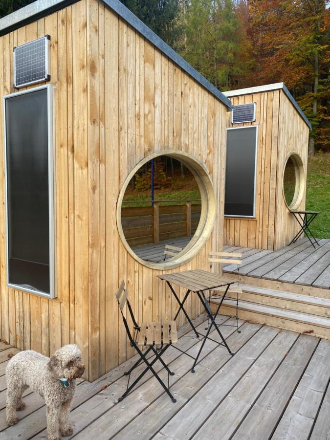 Vila Zinipi Retreat Gelenau "Eber" Wiltzsch Exteriér fotografie
